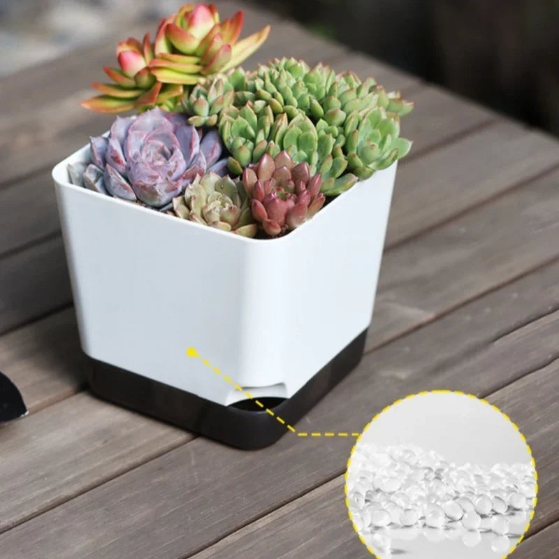 Essential Clear-Base Self-Watering Planters