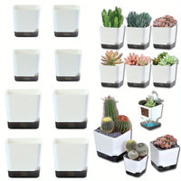Essential Clear-Base Self-Watering Planters