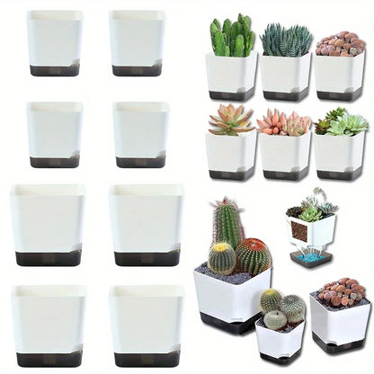 Essential Clear-Base Self-Watering Planters