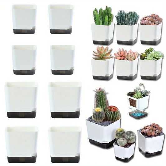 Essential Clear-Base Self-Watering Planters