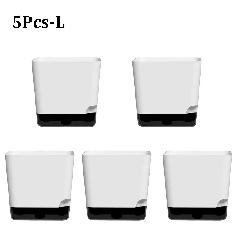 Essential Clear-Base Self-Watering Planters